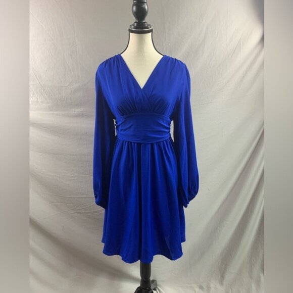 Lantern Sleeve Ruched Waist Dress Blue - Picture 7 of 10